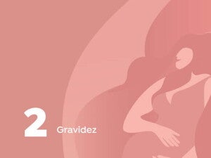 gravidez