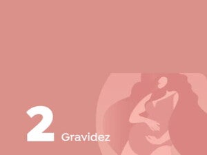 gravidez