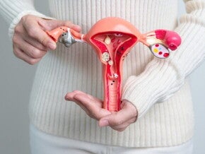 modelo anatômico do sistema reprodutor feminino sendo segurado por uma mulher.