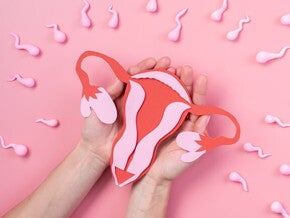 mãos segurando útero ilustrado com espermatozoides em direção