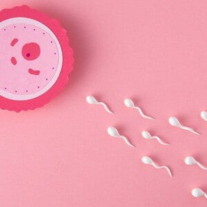ilustração de espermatozoides em direção ao óvulo ilustração de espermatozoides em direção ao óvulo