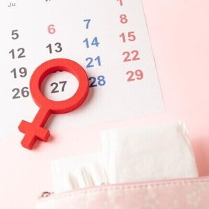 Calendário menstrual com o símbolo de feminino indicando o dia da ovulação e o período fértil 