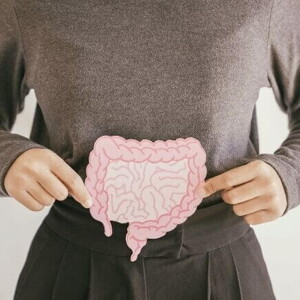 mulher segurando uma ilustração do intestino. mulher segurando uma ilustração do intestino.