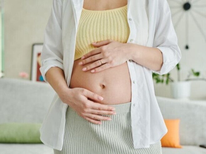 Mulher grávida com as mãos apoiadas na barriga, destacando o início da gestação. Mulher grávida com as mãos apoiadas na barriga, destacando o início da gestação.