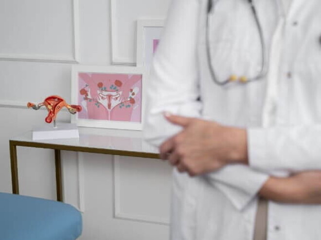Médica com jaleco de branco ao lado de modelos anatômicos de órgãos reprodutivos femininos. Médica com jaleco de branco ao lado de modelos anatômicos de órgãos reprodutivos femininos.