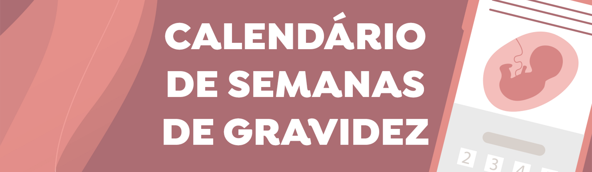 Calendário de semanas de gravidez Calendário de semanas de gravidez