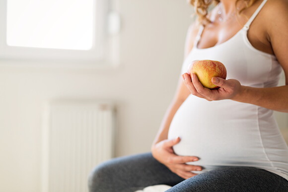 Alimentação Alimentação