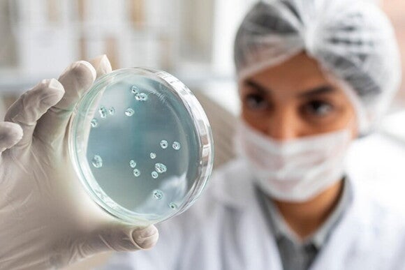 Biomédica olhando atentamente para lâmina de vidro Biomédica olhando atentamente para lâmina de vidro