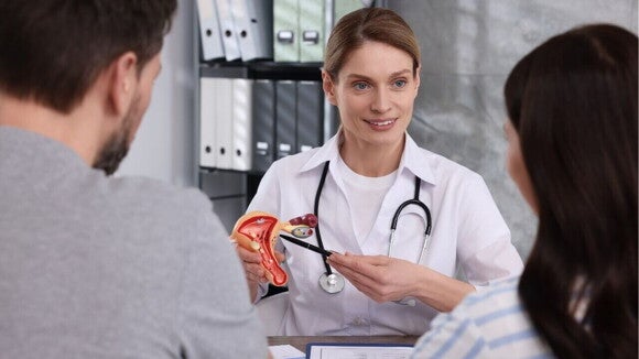 médica explicando o sistema reprodutor para casal em consulta. médica explicando o sistema reprodutor para casal em consulta.
