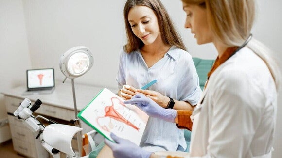 Ginecologista explicando o sistema reprodutor feminino para paciente em consulta Ginecologista explicando o sistema reprodutor feminino para paciente em consulta
