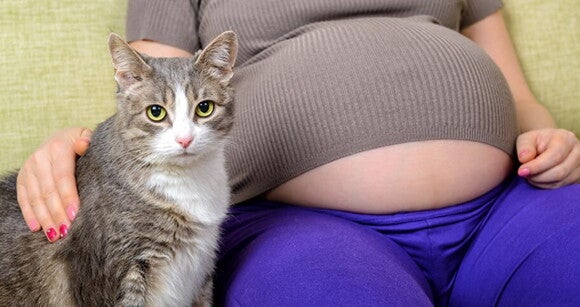 Grávida sentada em um sofá ao lado de um gato Grávida sentada em um sofá ao lado de um gato