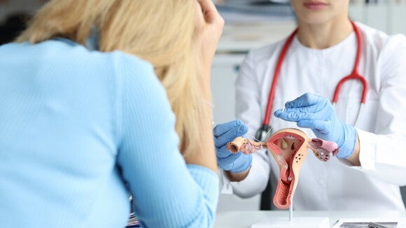 médica explicando o sistema reprodutor feminino para paciente. médica explicando o sistema reprodutor feminino para paciente.