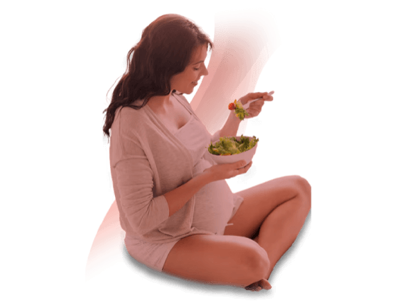 Alimentação Alimentação