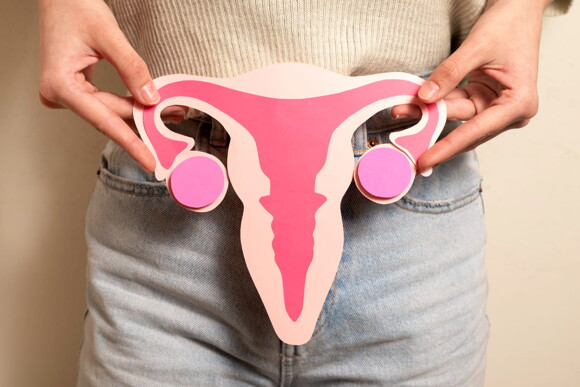 mulher segurada ilustração de sistema reprodutor mulher segurada ilustração de sistema reprodutor