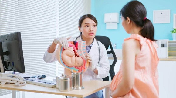 médica explicando a posição do bebê com modelo anatômico. médica explicando a posição do bebê com modelo anatômico.